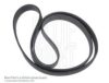BLUE PRINT AD06E1190 V-Ribbed Belts